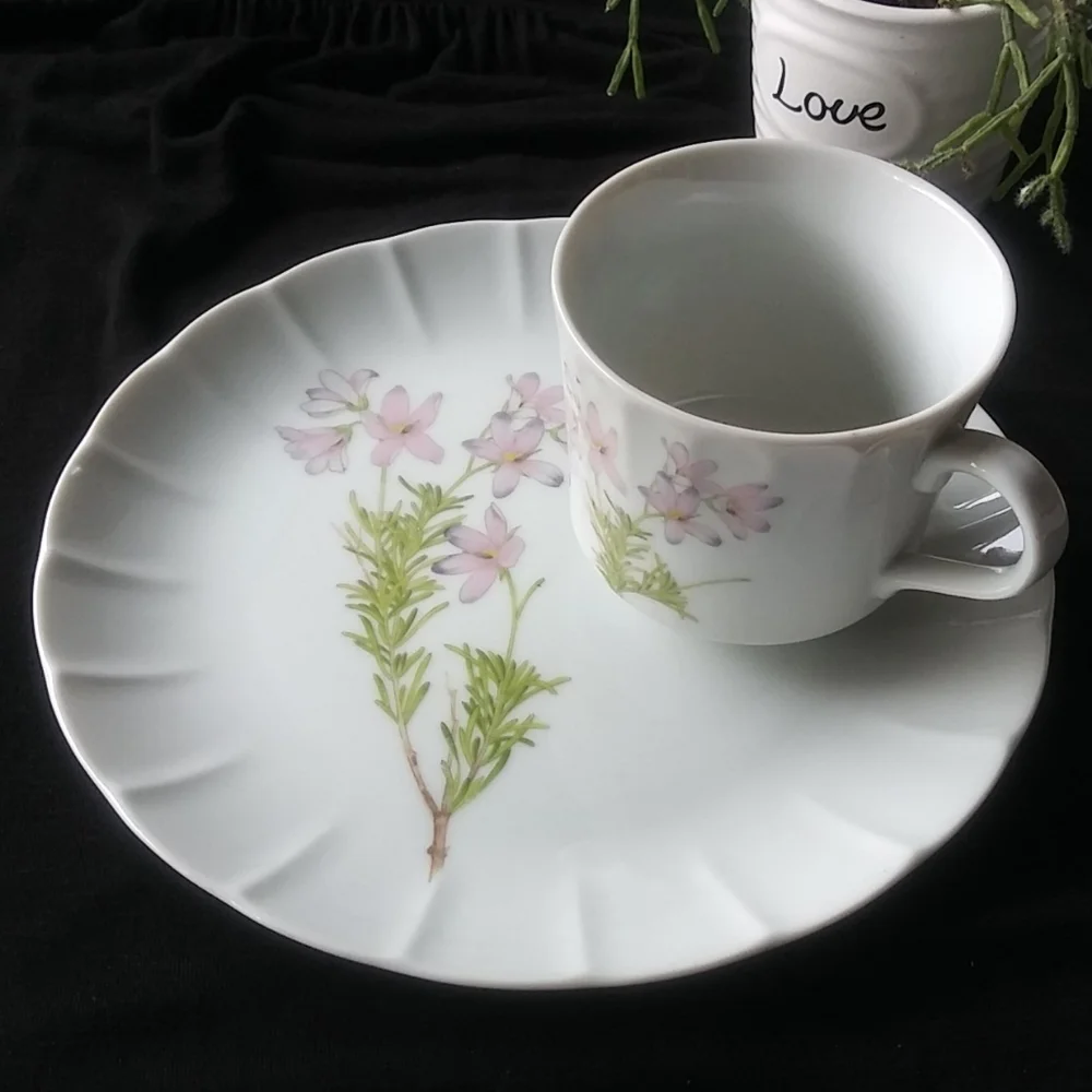 Vintage The Toscany Collection Vintage Japan Cups